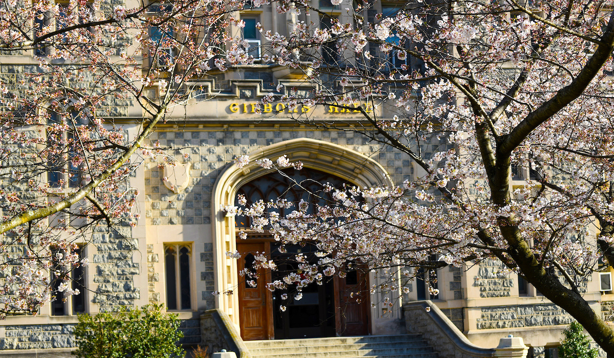 Catholic University in the spring with flowering trees.