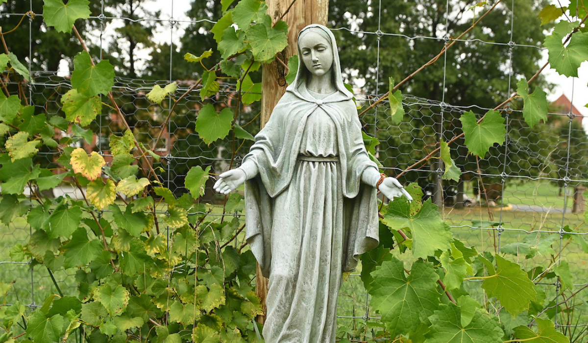 A photo of a Mother Mary in the garden.