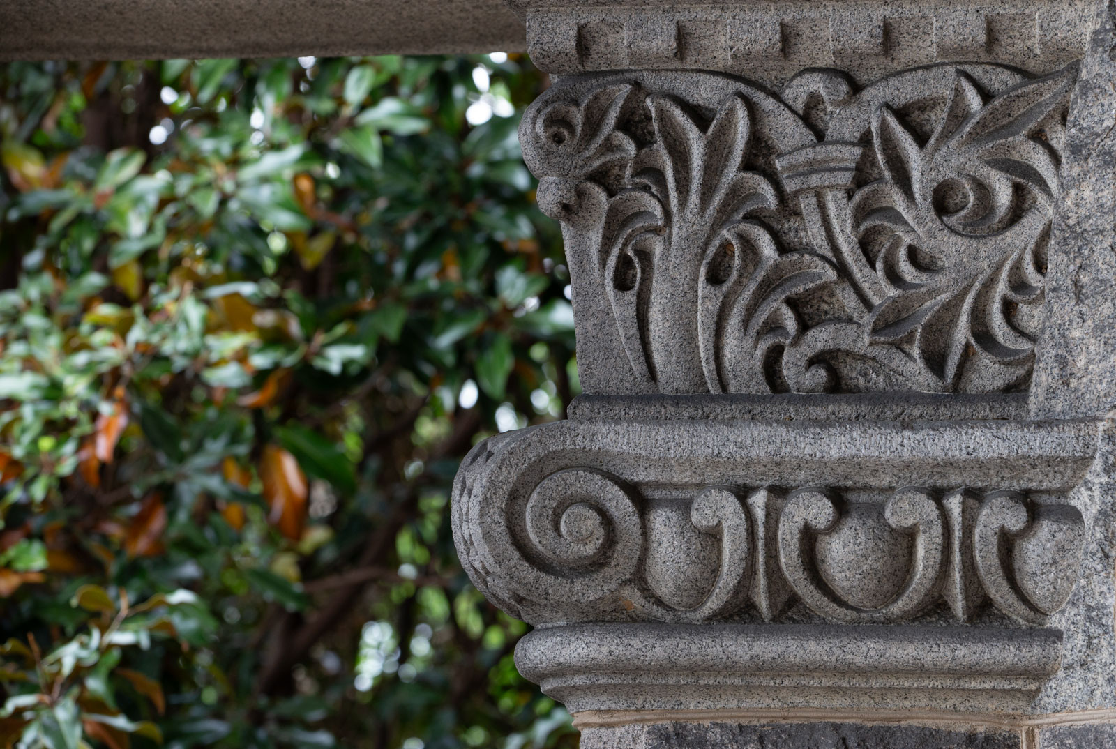 Sunlit trees next to a beautiful academic column.