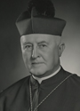 Rev. Patrick J. McCormick