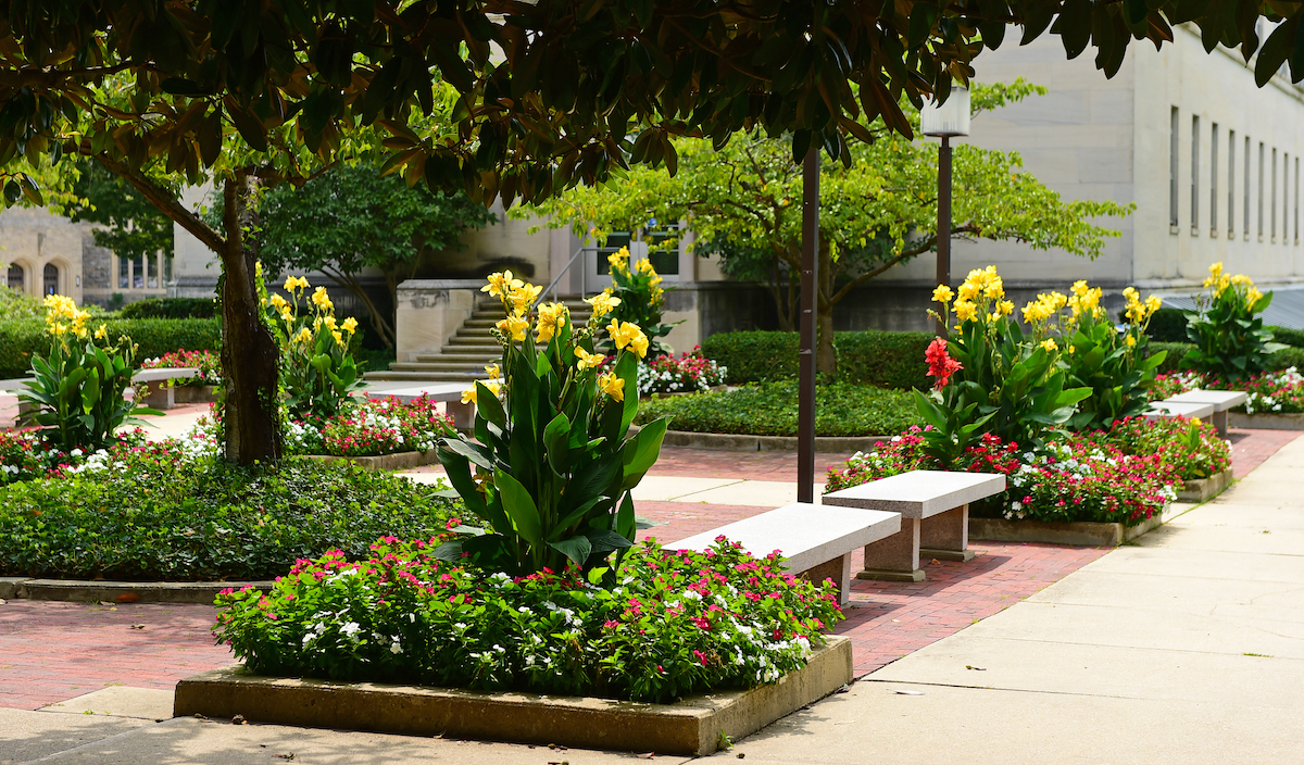 greenery and flowers outside of a building 