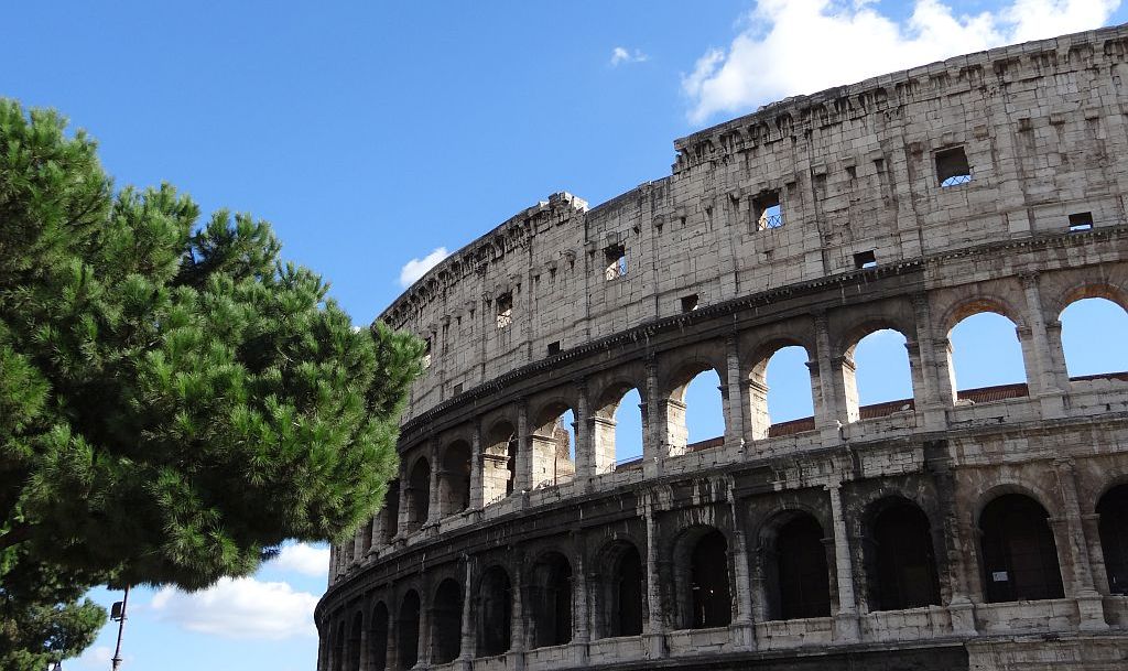 Colosseum with tree