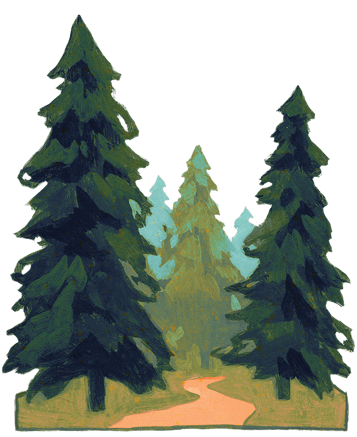 illustration of pine trees