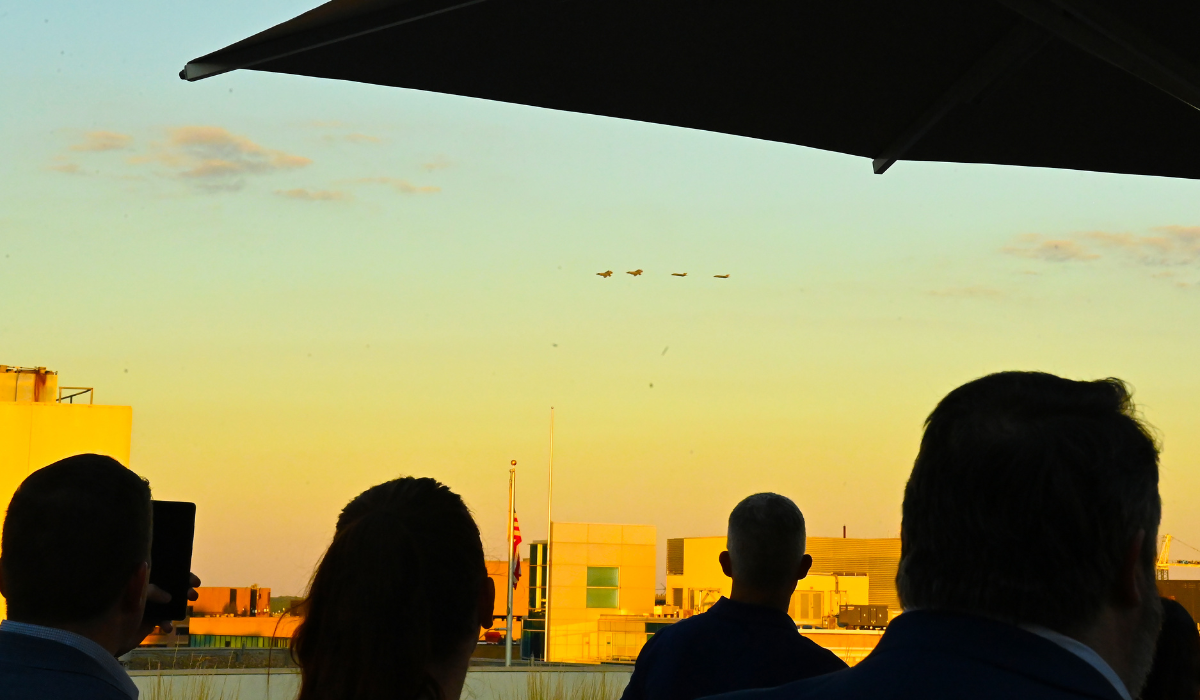 Attendees watch flyover in sunset sky in DC