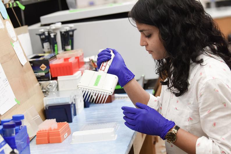 Student working in lab