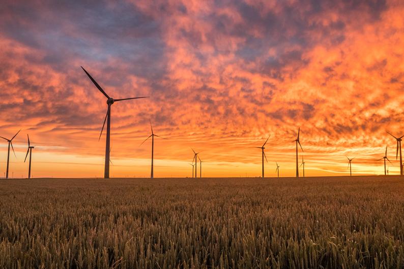 windmills in an open field