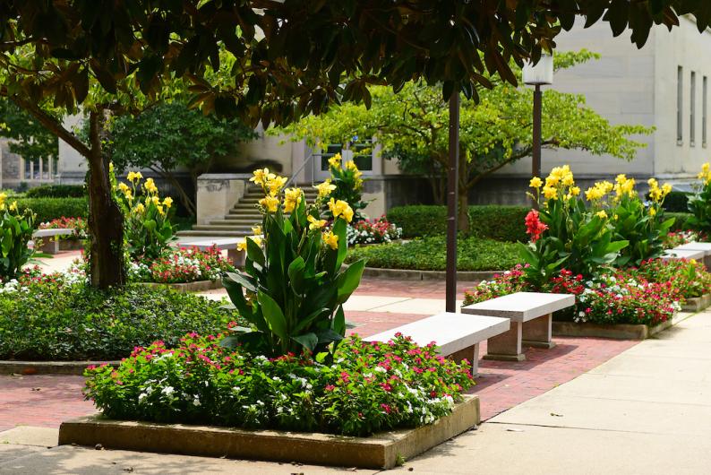greenery and flowers outside of a building 